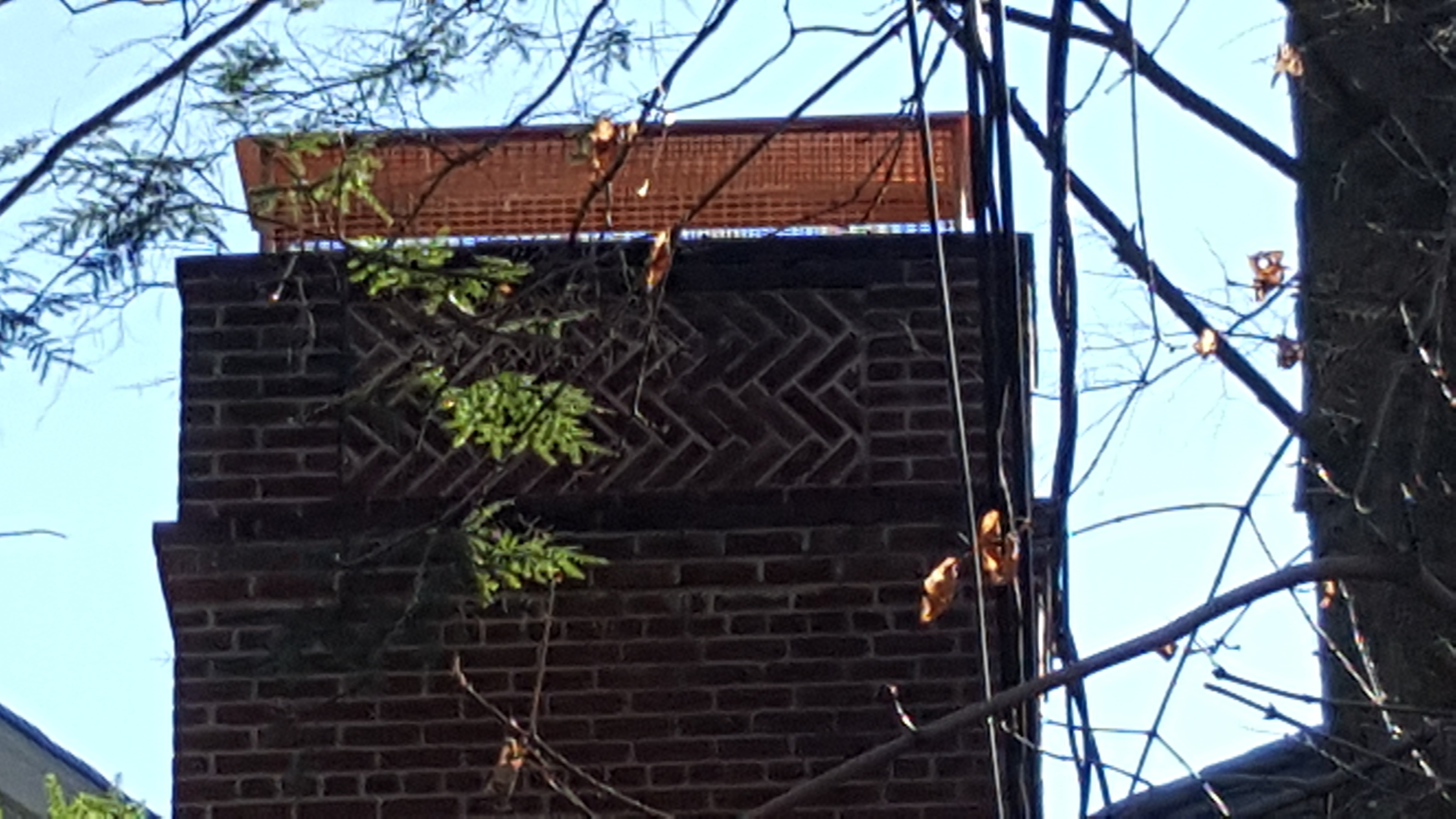 Animal-proof chimney cap protecting home in Deer Park, New York